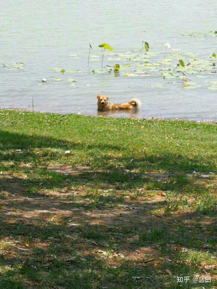 不看抖音、快手,不玩王者、吃鸡的是什么样的