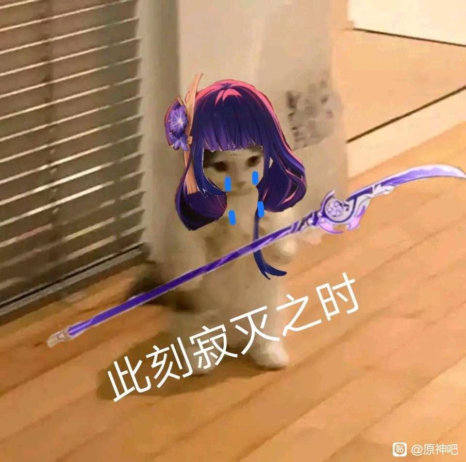 稻妻幼儿园表情包图片