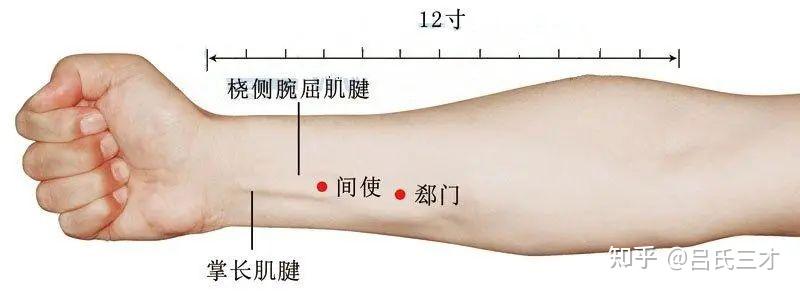 一针透两穴，周左宇、孙培荣、倪海厦﻿﻿古法针灸透穴31条 - 知乎