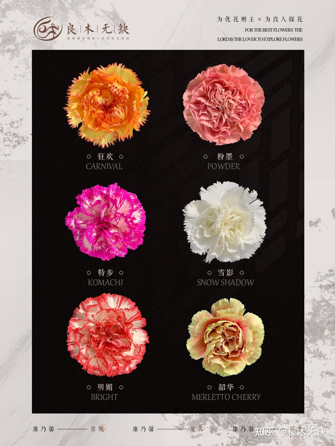 M16康乃馨玫瑰花束(完售) – 喜樂創意設計花店