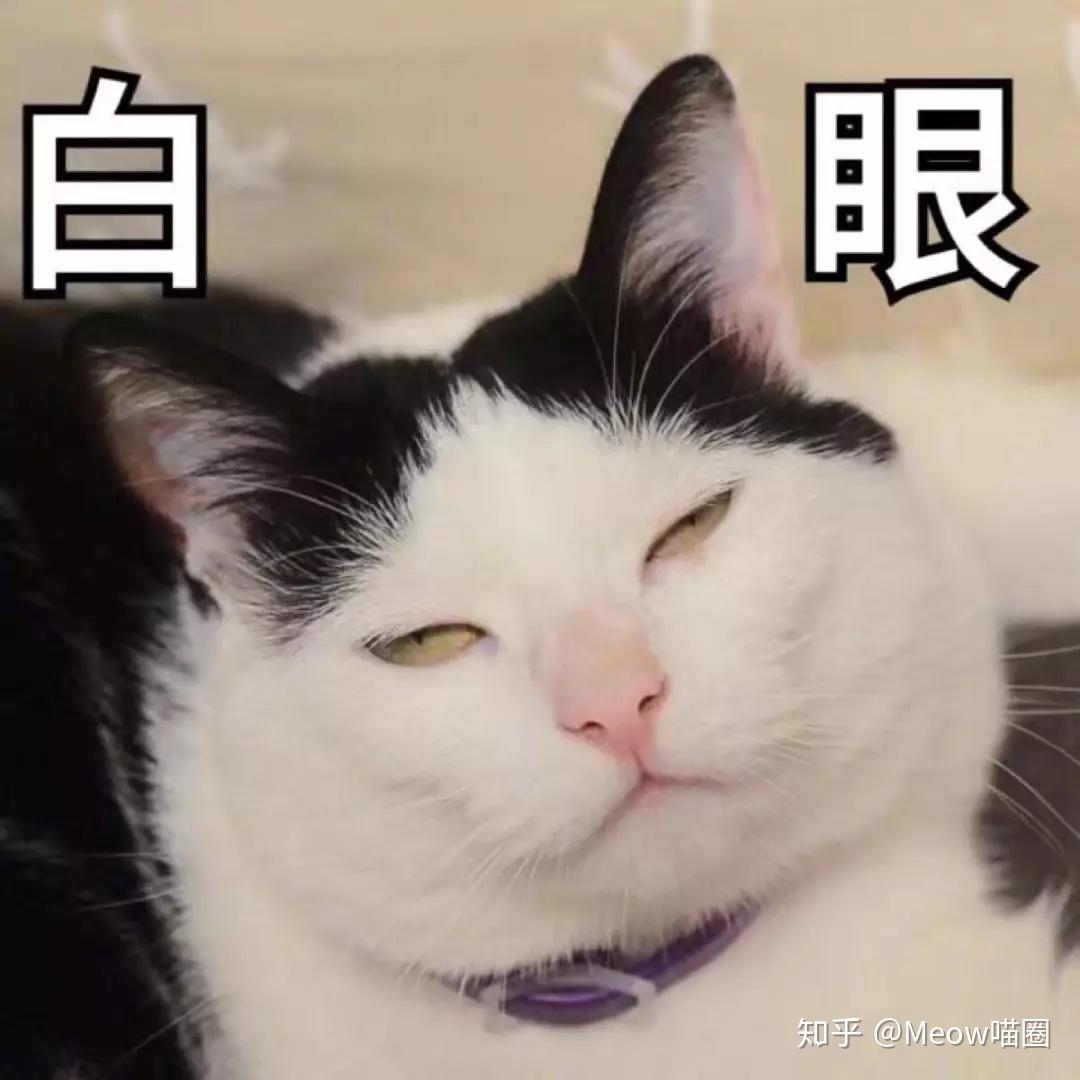 v2-b3bbbd2c48db7bf146b2410fb68a7983_r.jpg