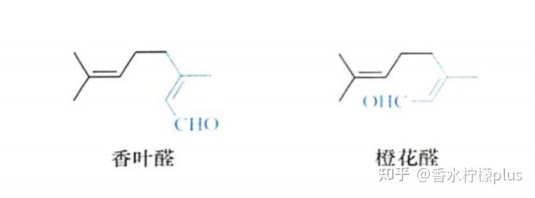 香草醛的结构式图片