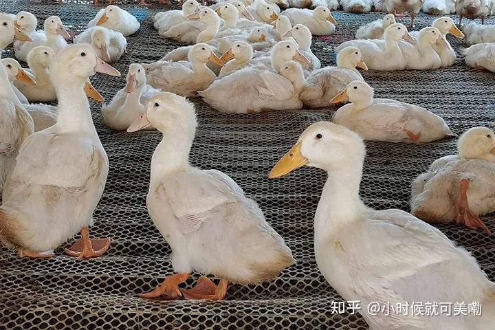 金网分析世界经济开始回暖