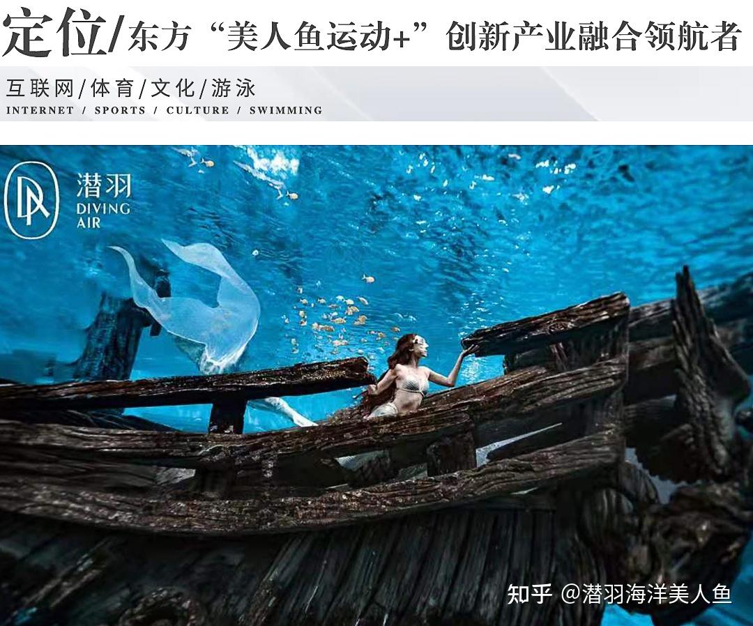 潜羽光芒丨书写中国美人鱼教课书的传奇故事