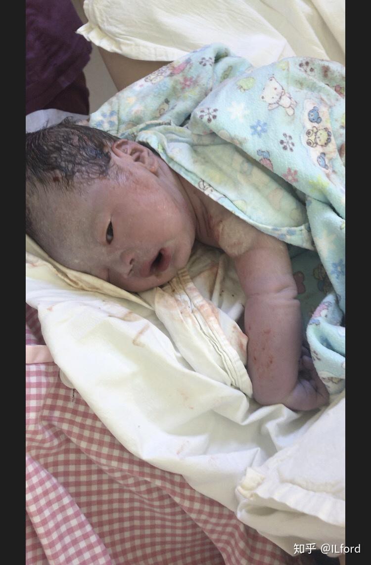 成蹊出生 - 知乎