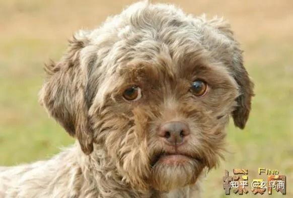 山海经之犬戎国赖丘国