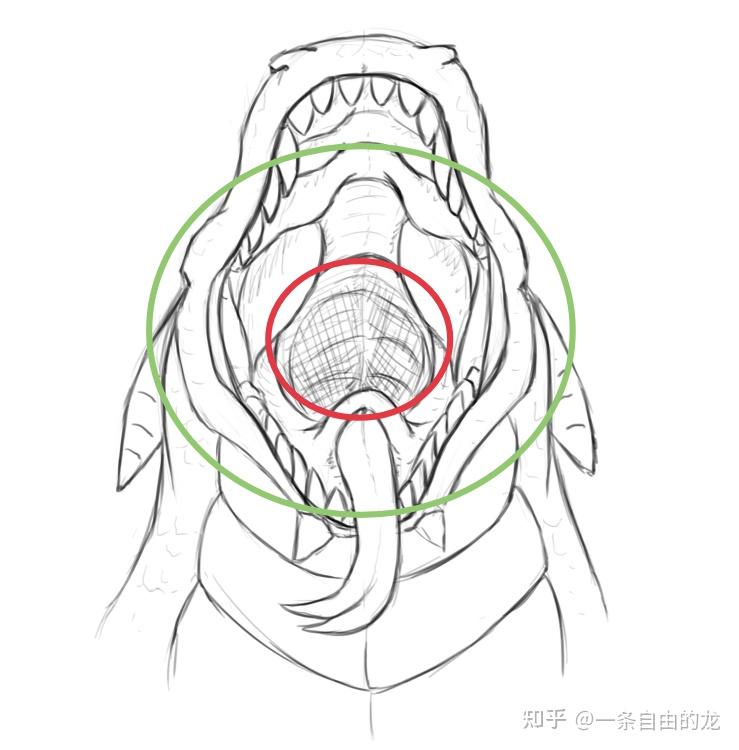 龙吞下肚图片