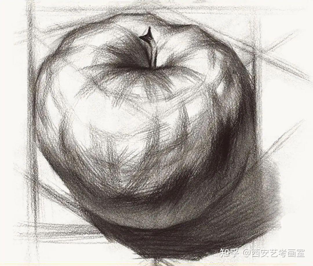 西安艺考i在画静物时不要盯着外形看,从理解体块开始会变得更简单易懂