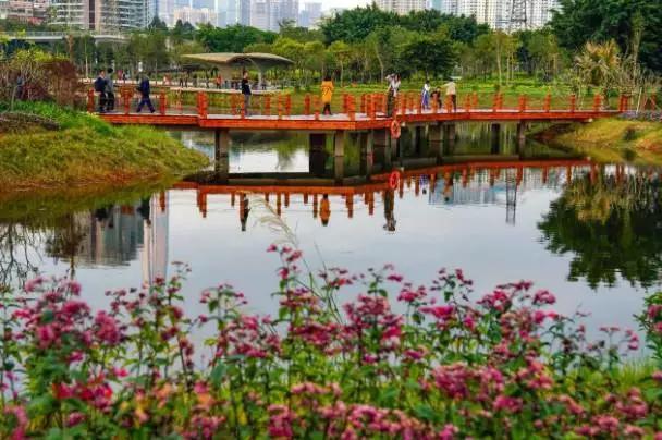 深圳有哪些不为人知的却很好玩的地方? - 知乎