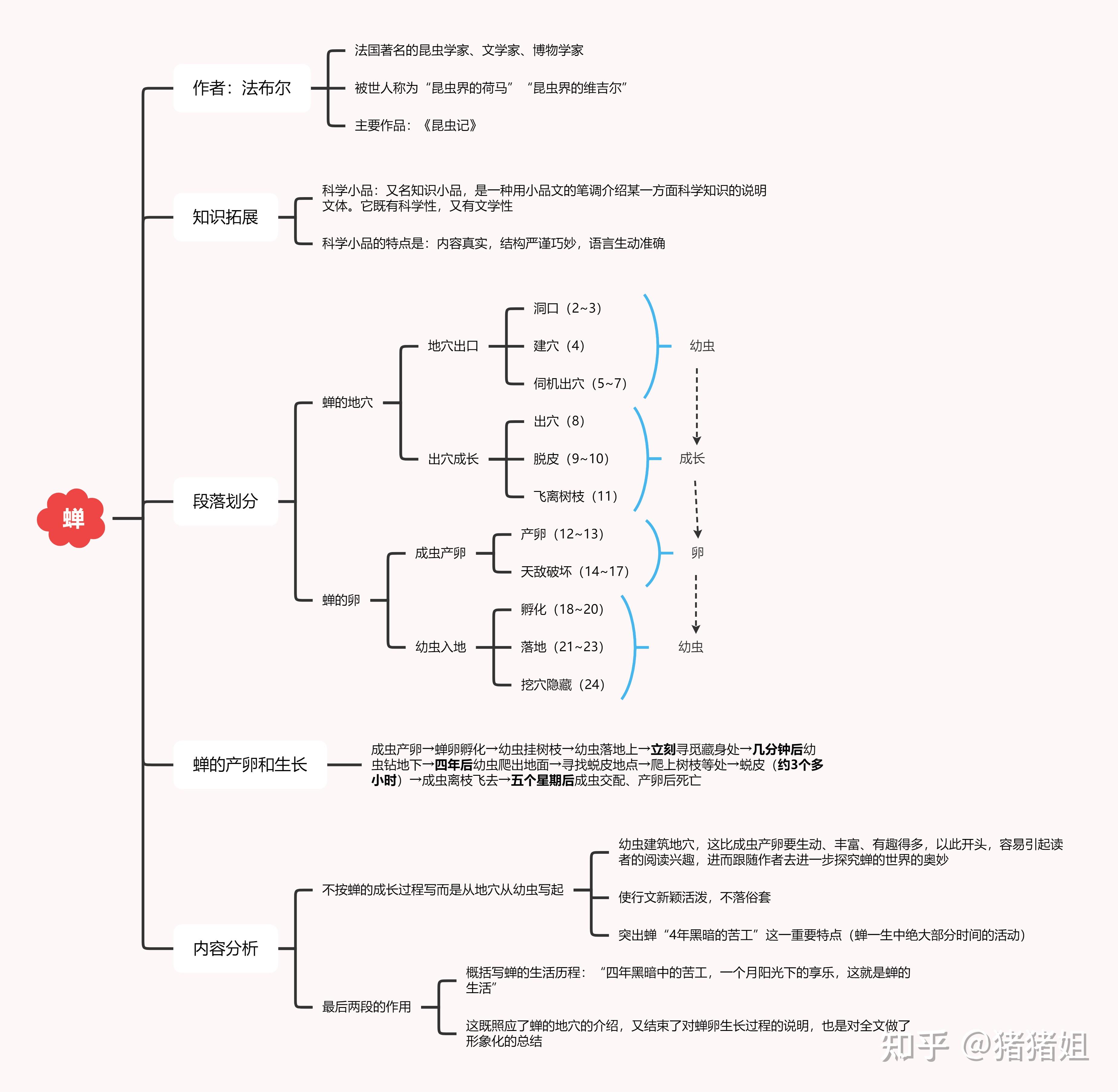 蝉法布尔思维导图图片