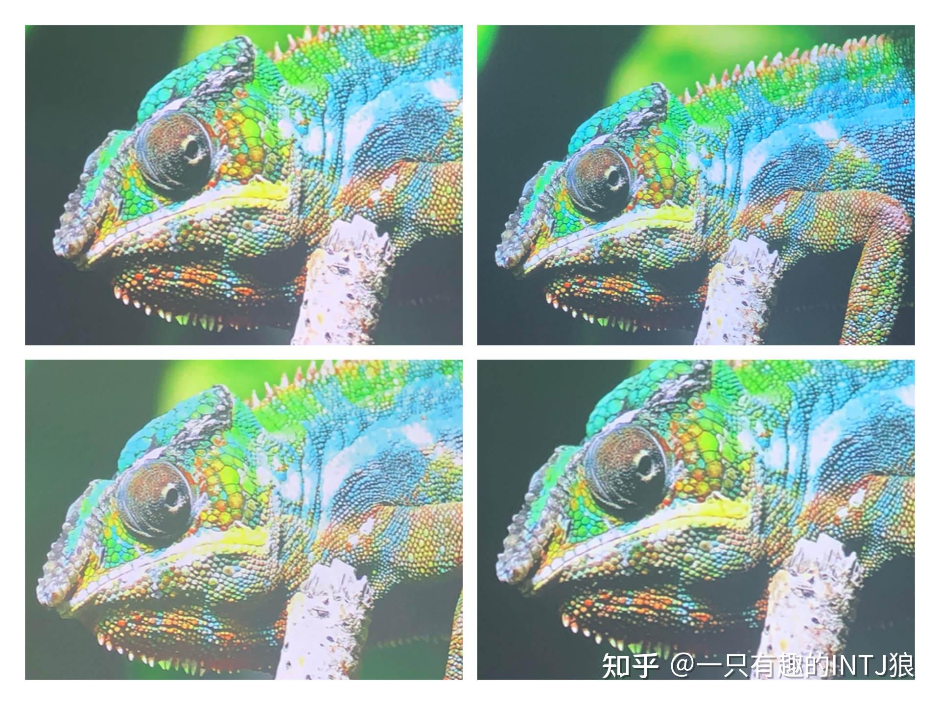 篇1大电视还是投影?两万字百台对比!双11攻略,科普向高性价比,家庭影院搭建指南 - 知乎