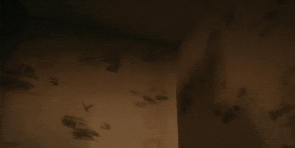 《特别小组》低开高走，HBO这部犯罪新剧赢麻了