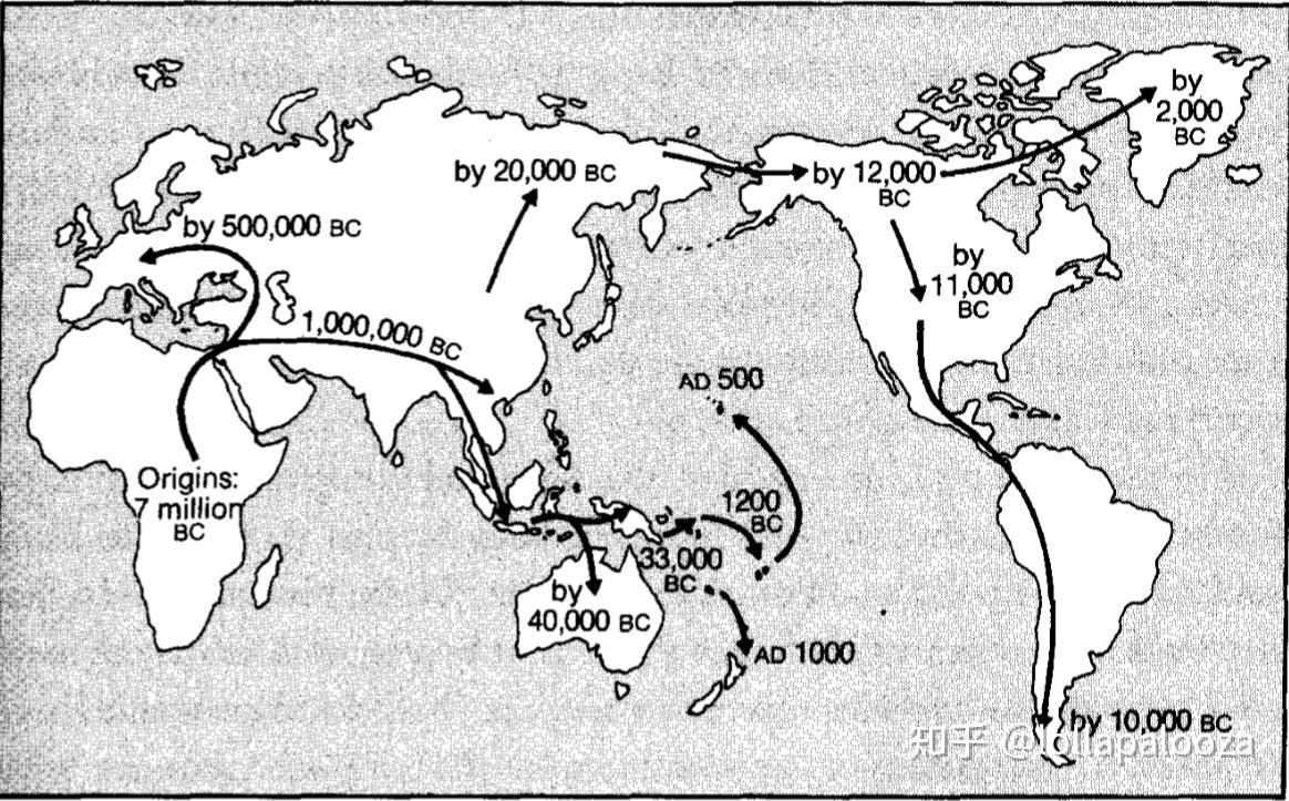 傞靵赕暴莶诪桵w