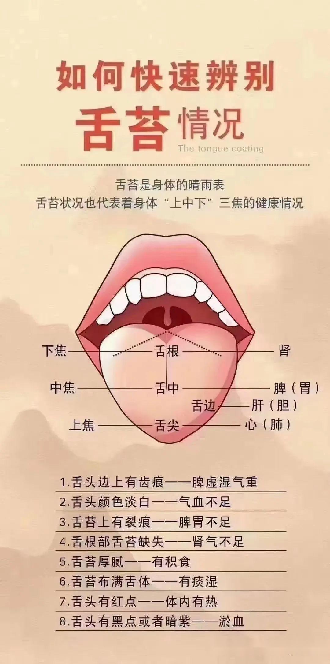 看看舌头就知道你虚不虚 - 知乎