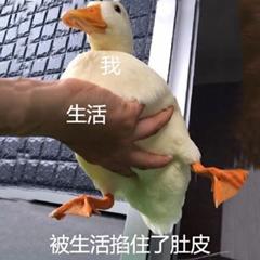 v2-b4481967123e24017a88659e2201c347_b.jpg