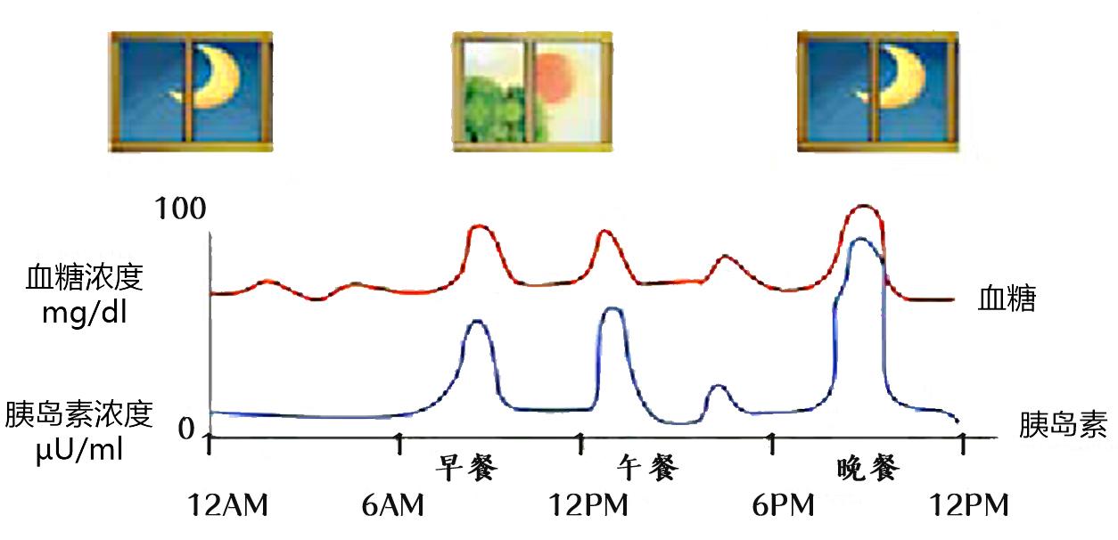 正常人餐后血糖曲线图图片