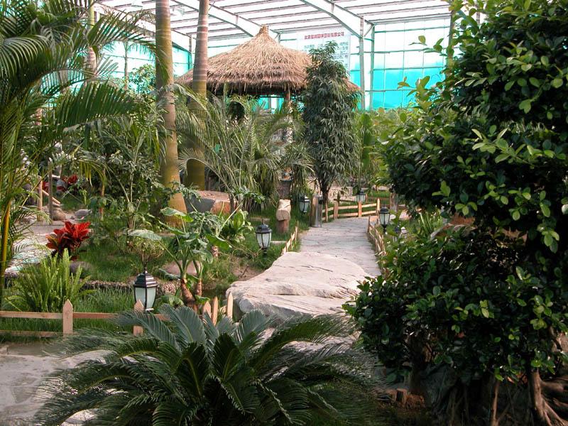 温室生态餐厅植物造景方法 知乎 温室生态餐厅植物造景方法 知乎