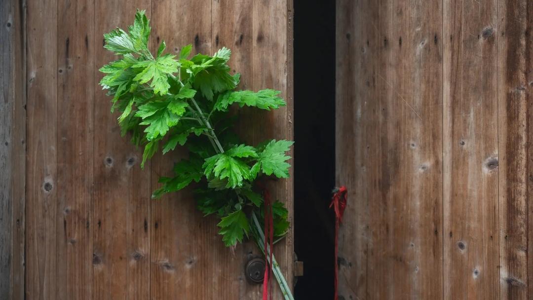 悠悠中药香 仙茱中药 道地药材·匠心精研·全产业链 端午节是中国