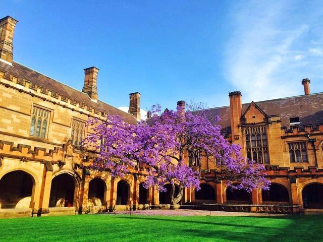 墨尔本大学圣三一学院详解