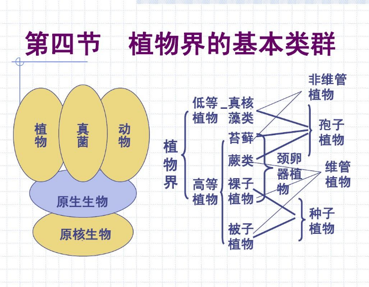 有没有什么好的RPG游戏推荐 知乎