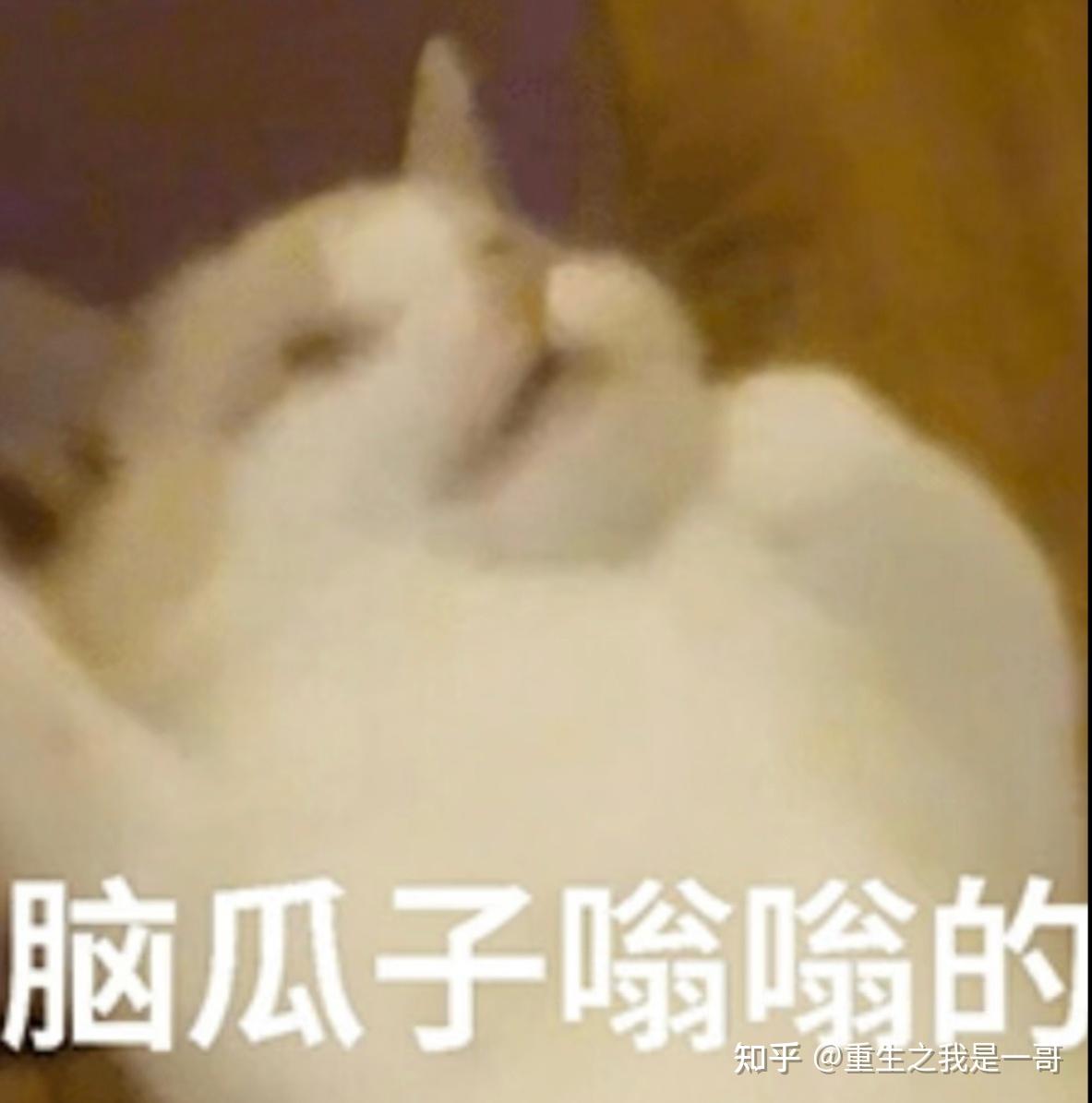 2026电视终极选购攻略!海信、TCL、创维哪个热门品牌好?SQD还是RGB-MiniLED?万元机有必要买吗?一文帮你全解决!