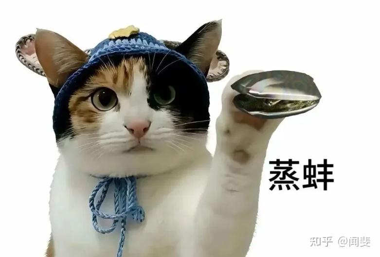 2026年还有流量卡吗?竞合什么时候才能结束?