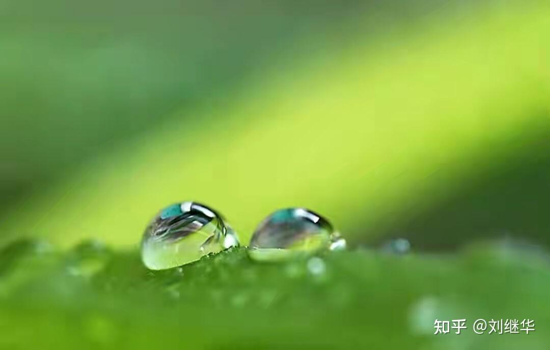 释然作者刘继华