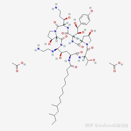 卡泊芬净耐药图片