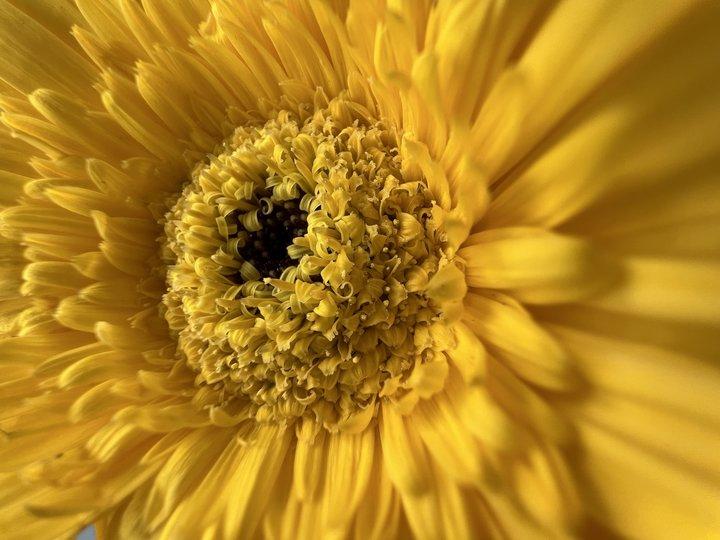 iPhone 13 是最没创意的新 iPhone?你可能错过了这些细节-苹果13有什么新技术