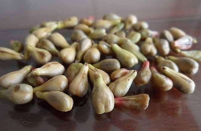 白藜芦醇是一类主要存在于葡萄,虎杖,藜芦等植物中的多酚类化合物 .