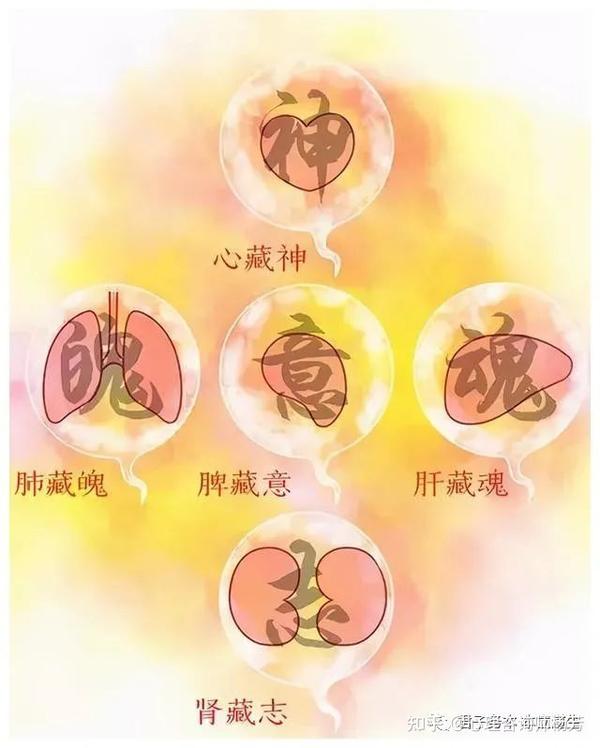 中医学笔记-五脏藏五神，五脏主五志 - 知乎
