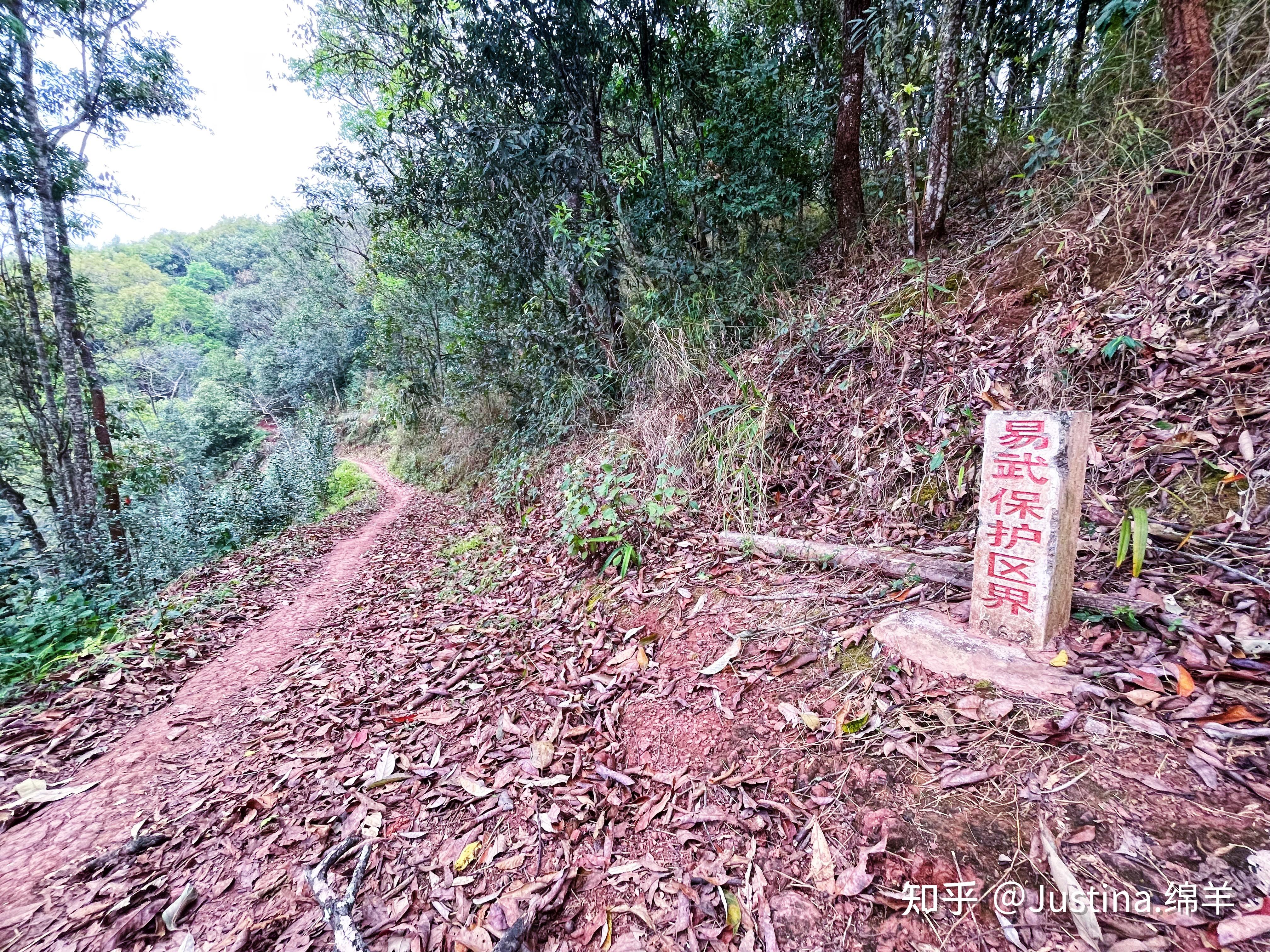 普洱茶地块介绍 | 弯弓 - 知乎