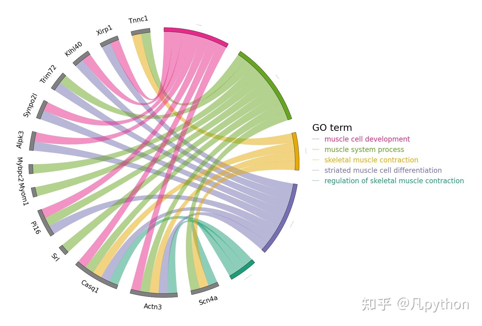 AI不会告诉你的GO弦图怎么画 - 知乎
