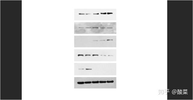 简单的画画一步一步来教 v2-b5167e61b5cae8dcad9ac3c10f444593_r.jpg