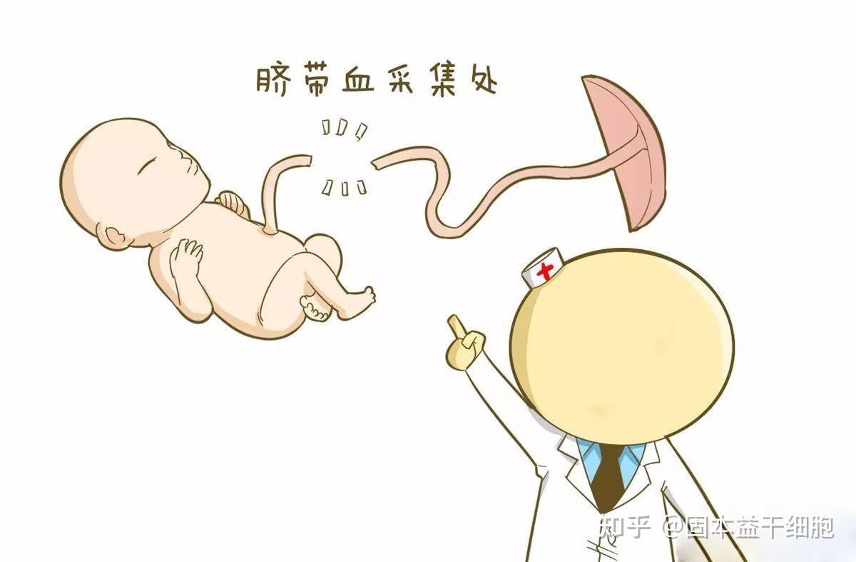 婴儿肚脐怎么护理（新生儿肚脐护理很重要）-幼儿百科-魔术铺