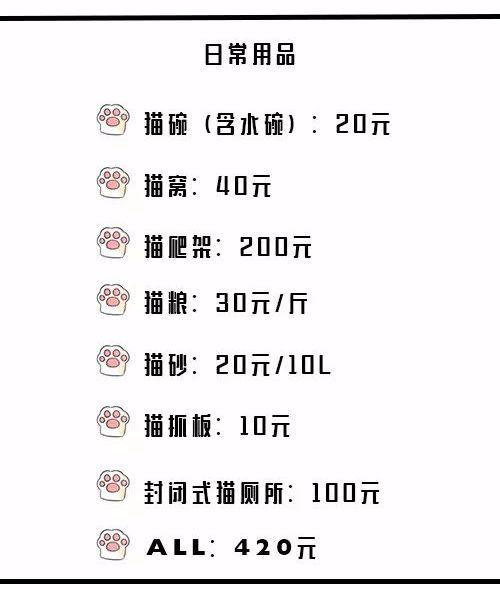 Guide 第一次养猫 你必须get的新手攻略 知乎