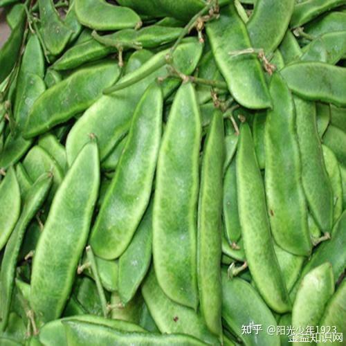 老虎豆的功效与作用 - 知乎