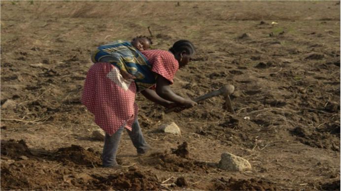 非洲人自己种植作物,只有他们能够自给自足了,才能彻底解决粮食危机的