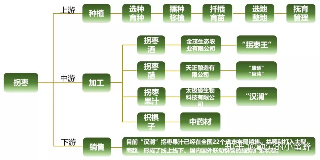 你没见过的水果·第一篇：拐枣！