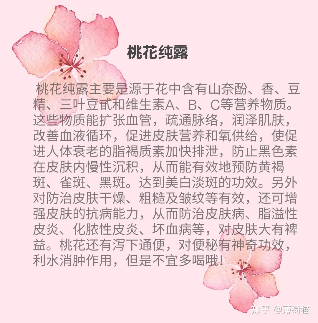 桃花纯露功效 - 知乎