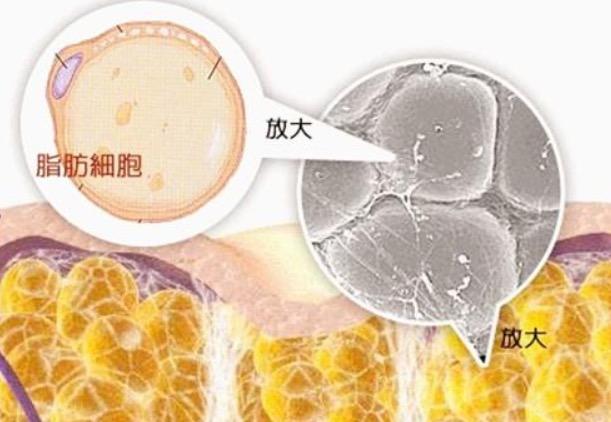 v2-b5997d0262023085bc7e29b21b0c3d93_r.jpg
