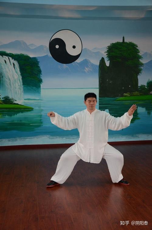 陈式心意混元太极拳