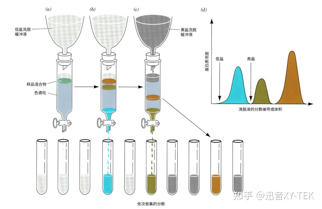 流量传感器在生物制药的层析过滤环节的应用 - 知乎