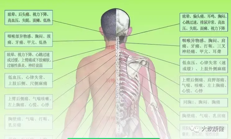 后背疼痛对应图图片