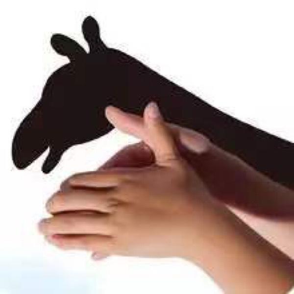 每做一个影子都让孩子猜猜是什么,例如"小狗","孔雀","螃蟹".