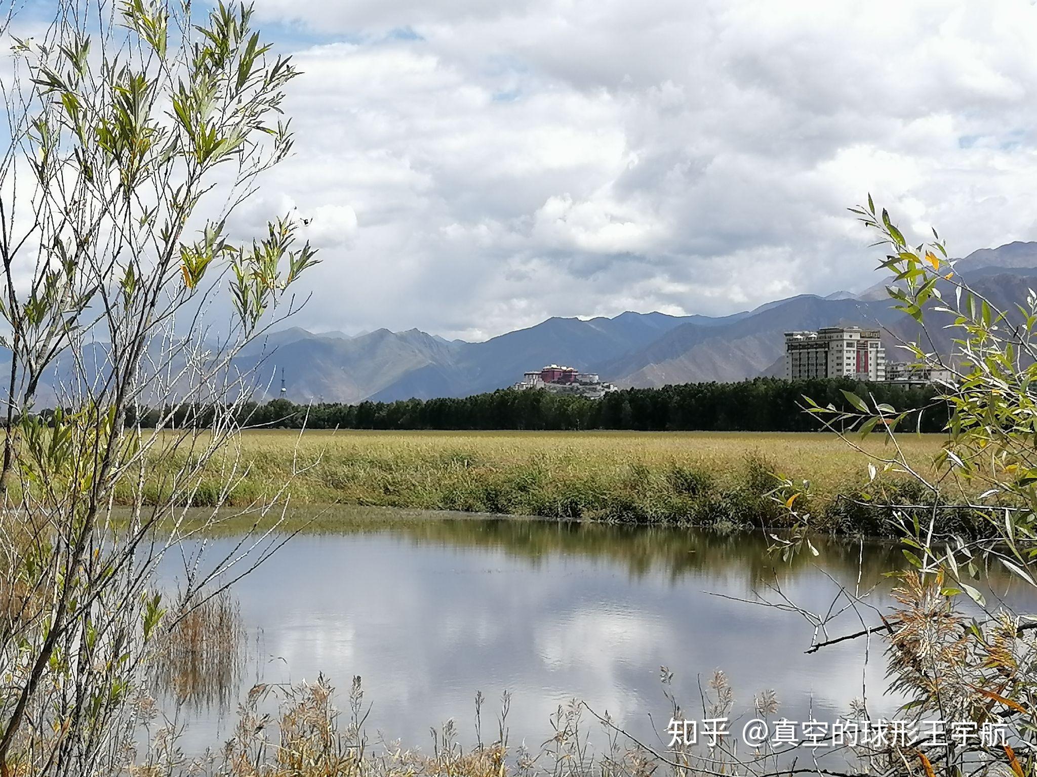 青岛王圈湿地公园图片