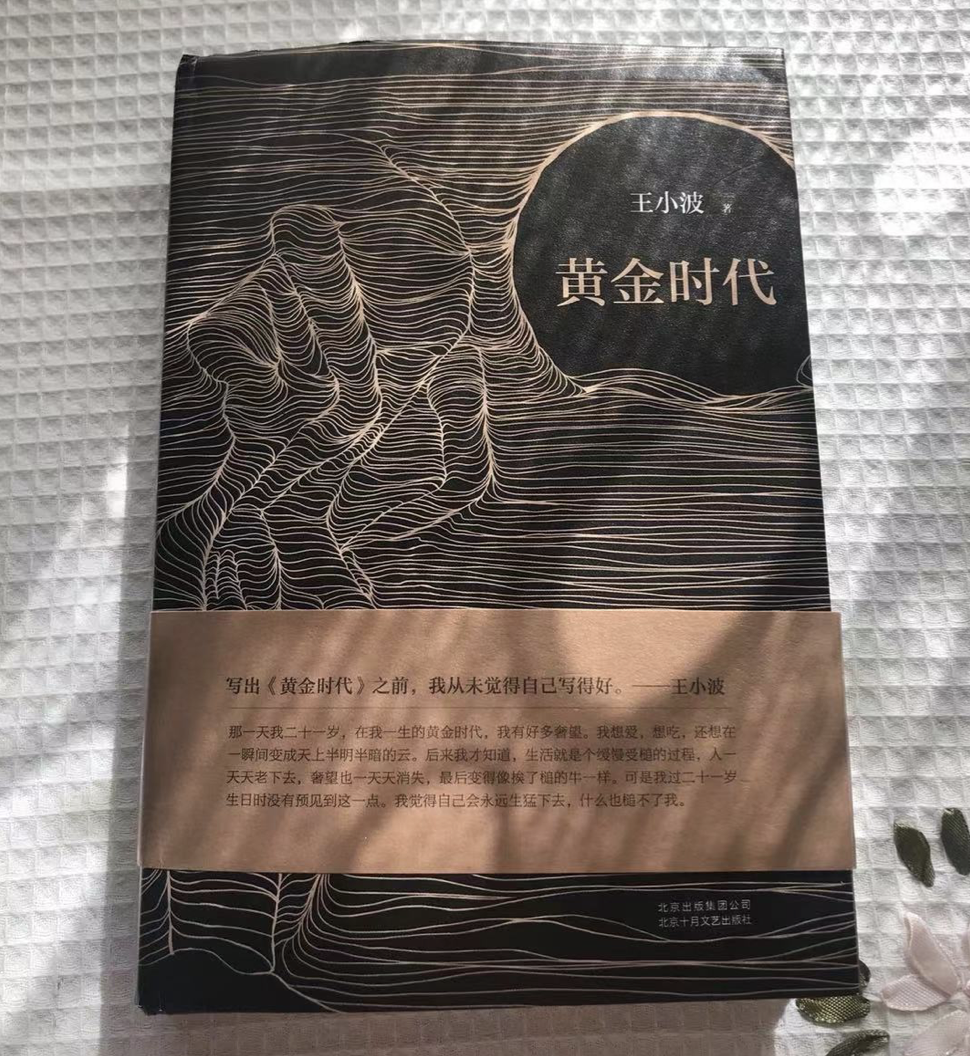 王小波《黄金时代》读后感 | 【book list】