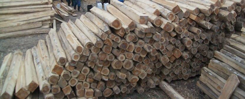 家具木材美誉 连载篇二 天赐良名 万木之王 的柚木有争议 知乎