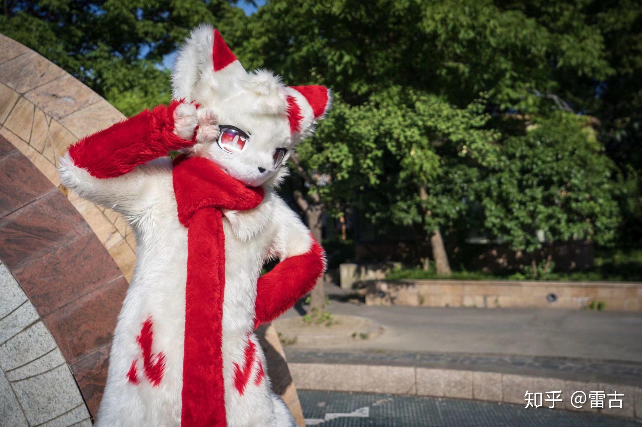 有什么推荐的中国fursuiter
