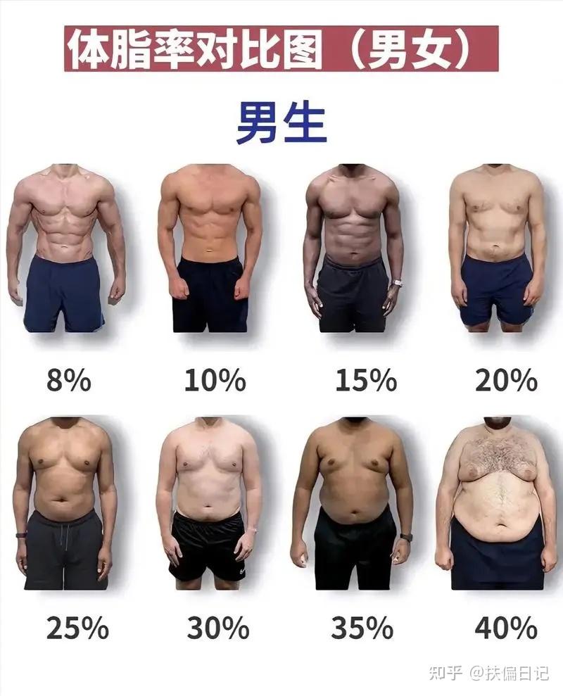 减肥一定要向猪学习这3点,如果能像猪一样吃东西,不瘦都难! - 知乎